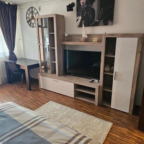 Garsoniera Dary Bloc G2str Mihai Bravu, hotel in Giuvărăşti