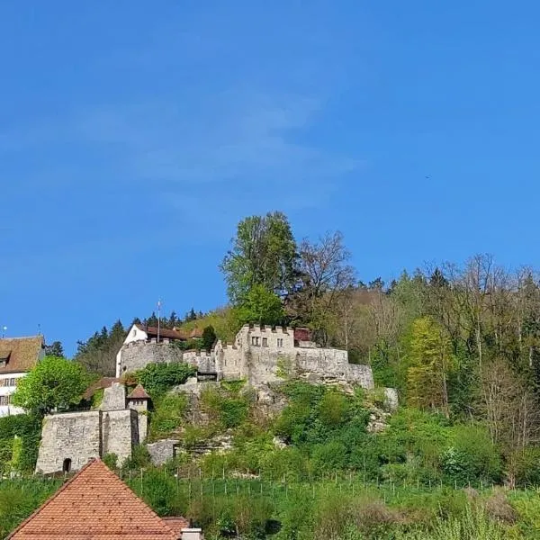 Zimmer-B&B Restaurant Wirtshaus zur Trostburg, hotel v destinaci Teufenthal