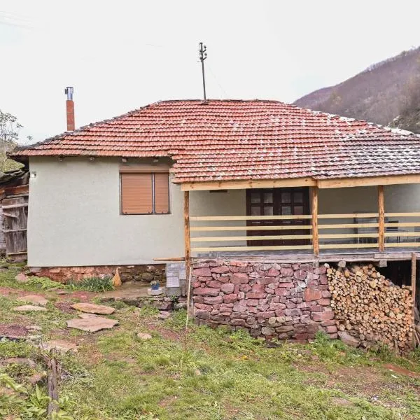 Kuća Cvetković, hotel v destinaci Pirot
