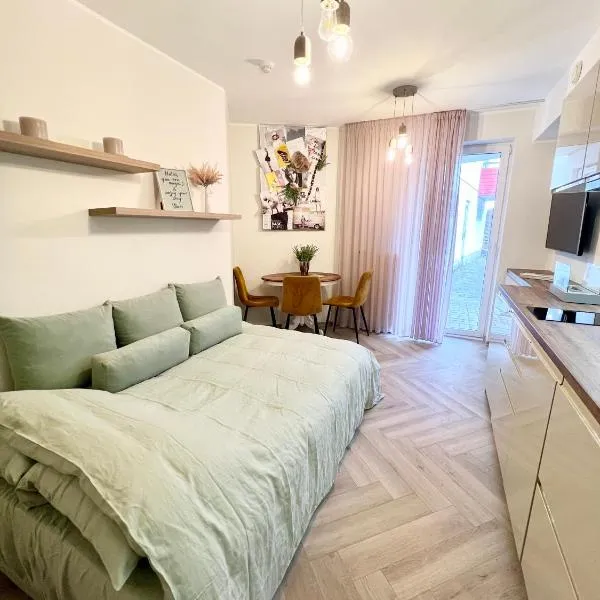 Modern studio apartment with full kitchen and bathroom in Kadriorg, Tallinn city centre, hotel em Lagedi