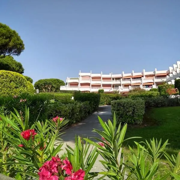 Le Grau-du-Roi Studio 4 pers 150 M de la mer parking, hotel en Le Grau-du-Roi