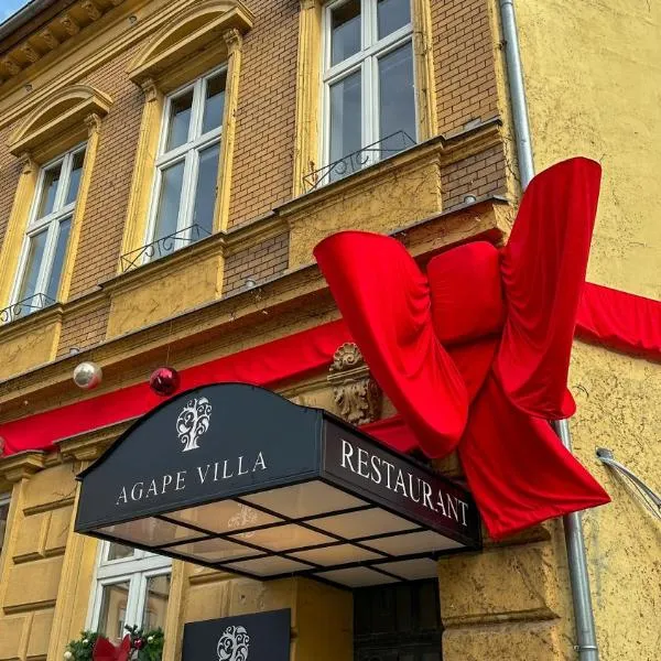 Agape Villa Boutique Hotel, מלון בנובי סאד