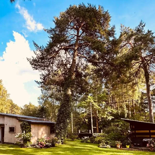 Baltic Sea Cottage, hotel in Jūrmala
