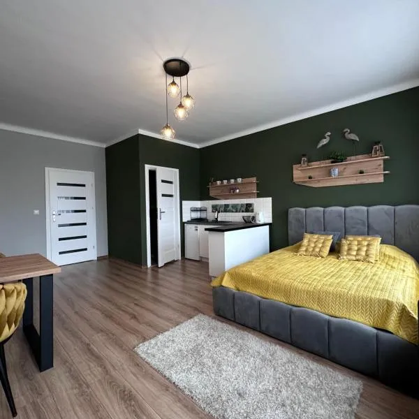 Apartamenty w Kamienicy, hotel a Poddębice