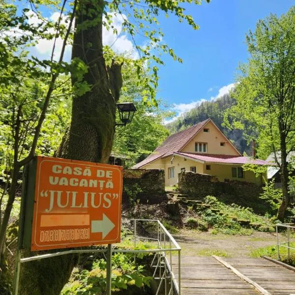 Casa de vacanta Julius, hotel v destinaci Padis