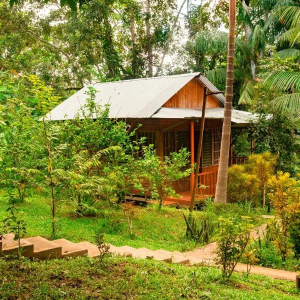 Cabañas Dechi, hotell sihtkohas Puerto Nariño