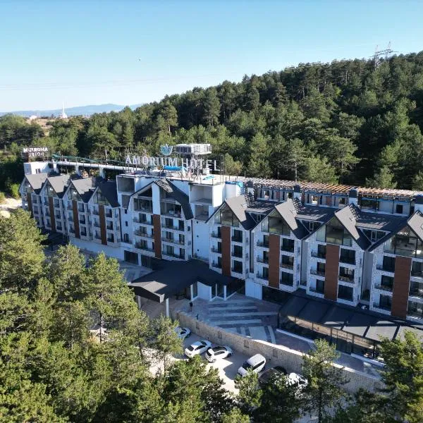 Amorium Hotel & Wooden Stone House, hotel v Kastamonu
