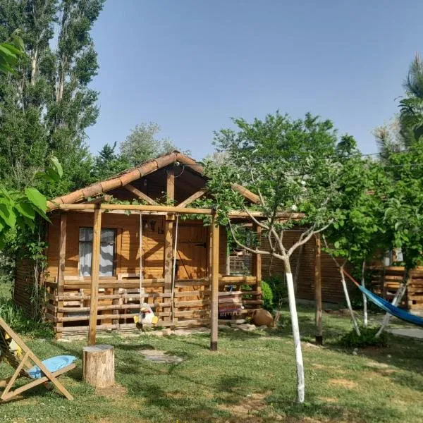 Tiny houses Genacvale, hotel in Martvili