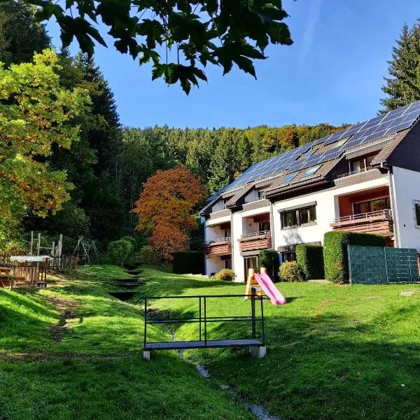 Elpe Apartments Hochsauerland、Elpeのホテル