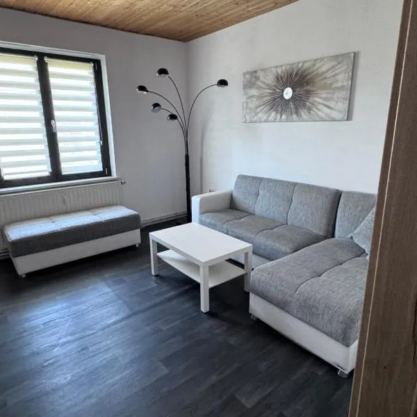 Ferienwohnung zwischen Dresden und Sächsischer Schweiz, Hotel in Heidenau