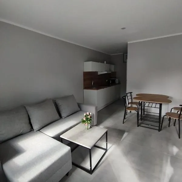 Apartamenty przy jeziorze, hotel in Długie
