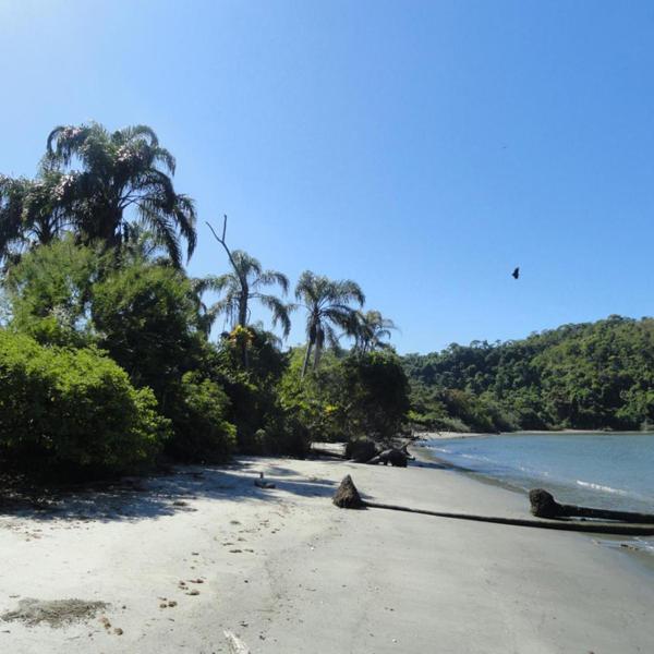 Casa simples Pereque açu - Ubatuba