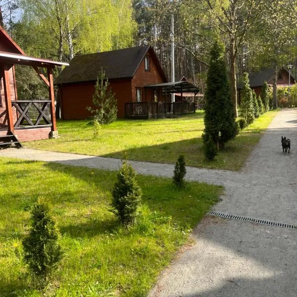 Domki Letniskowe Nad Jeziorem Kazub, hotel em Cieciorka
