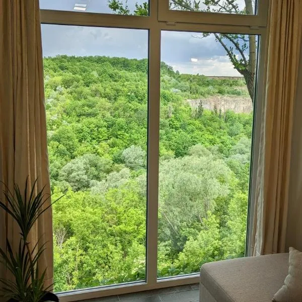 TwinHouse "Family Estate", khách sạn ở Kamianets-Podilskyi