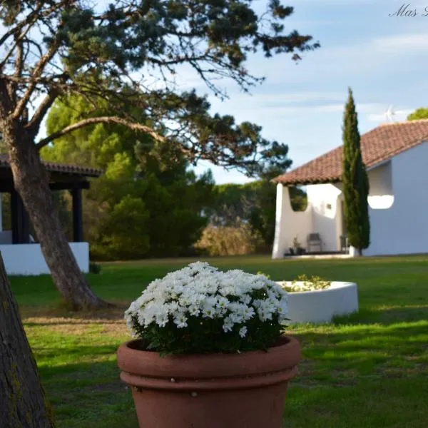 MAS MLS, hotel v destinácii Saintes-Maries-de-la-Mer