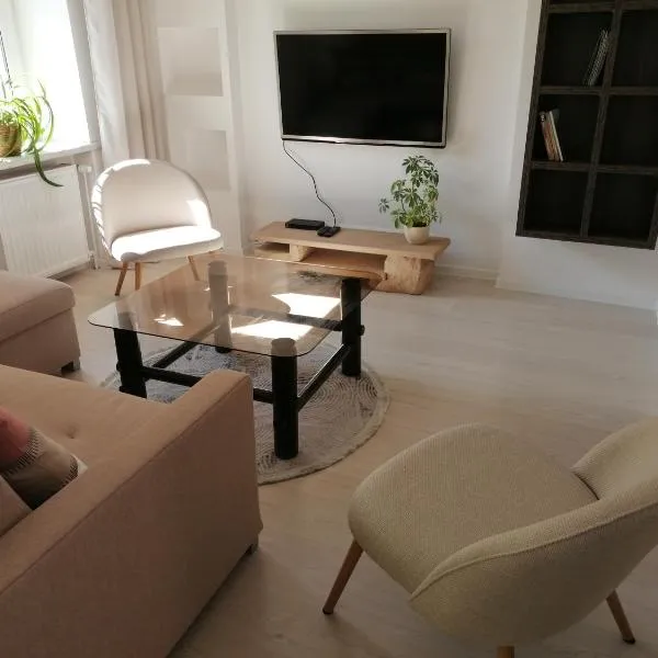 Apartament u Przewodnika Sudeckiego、ドゥシュニキ・ズドルイのホテル