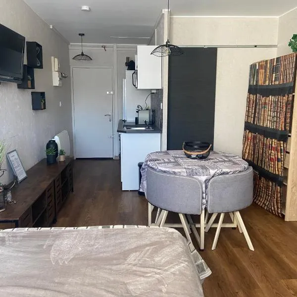 Jolie studio Saint CYPRIEN 100m de la plage commerce et animation, hotel v destinaci Saint-Cyprien