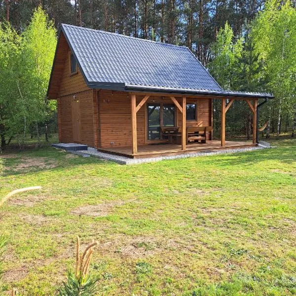 Białobrzeskie domek letniskowy, hotel v destinaci Żuki