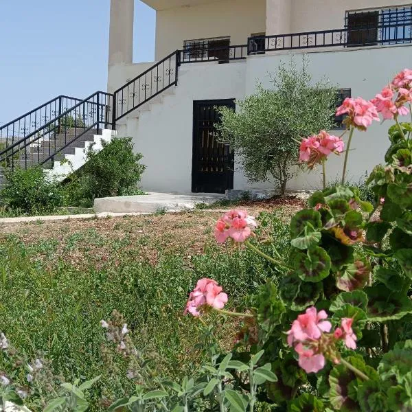 Rousan House, hotel di Umm Qays