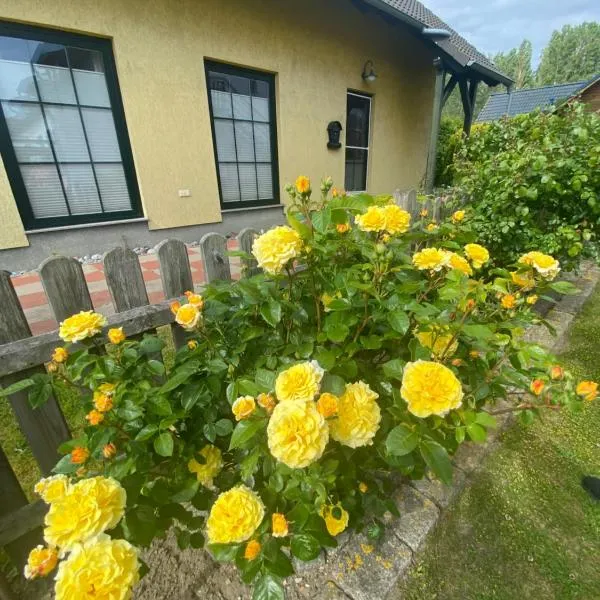 Strandhaus Altglowe - Perfekt für 8 Gäste! #FerienhausAltglowe #Monteurhaus#Handwerkerhaus#, hotel v destinaci Glowe