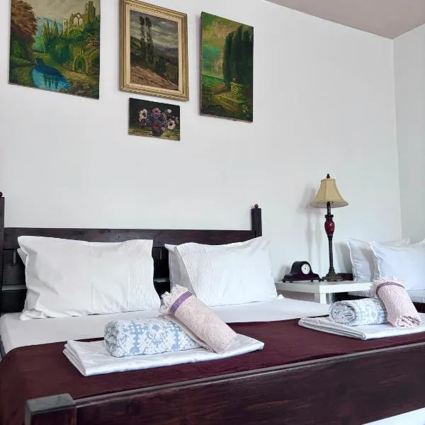 Casa Trandafirilor, hotel v destinaci Tulcea