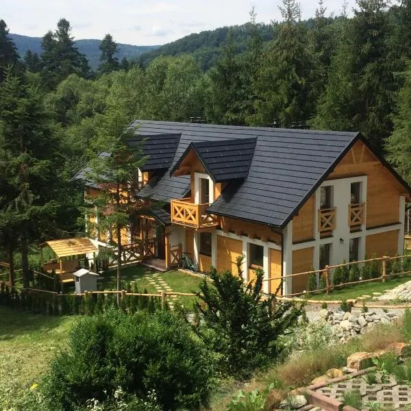 Willa Ozark, hotel en Zawóz