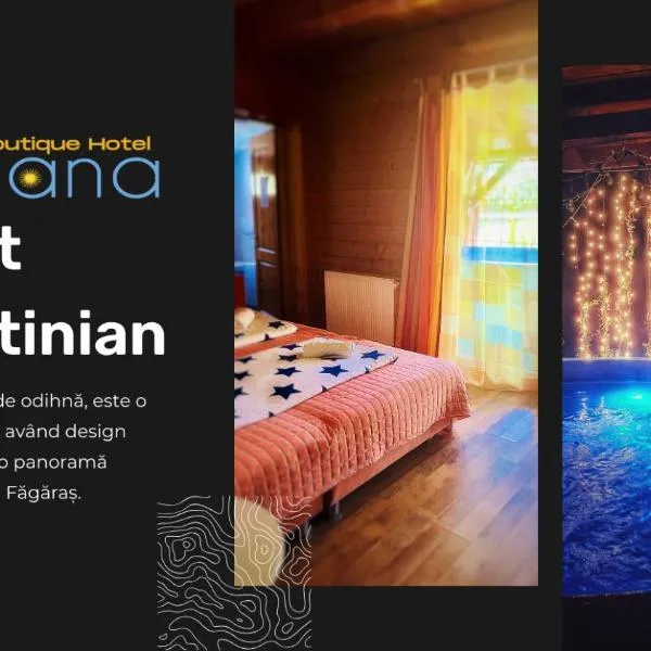 Ohana Boutique Hotel，Viştea de Sus的飯店