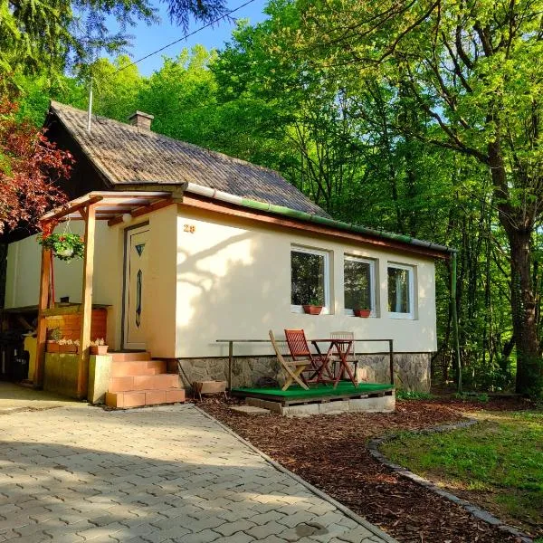 Csendes pihenés az erdő mellett - Madárfüttyös Vendégház, hotel in Pilisszentlászló