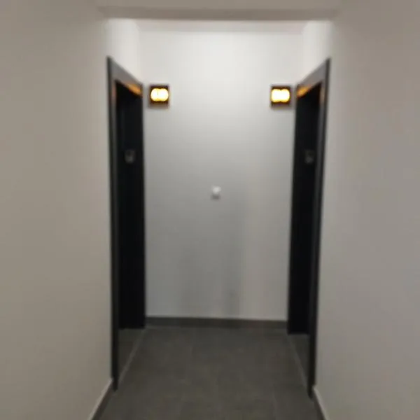 Vila Leona C0, hotel na Divčibaru