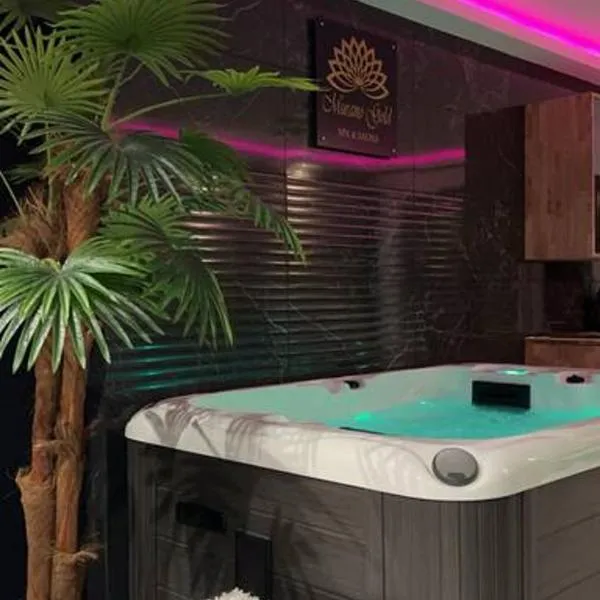 Murano Gold Gîte avec SPA & SAUNA Privatif – hotel w mieście Landrethun-le-Nord