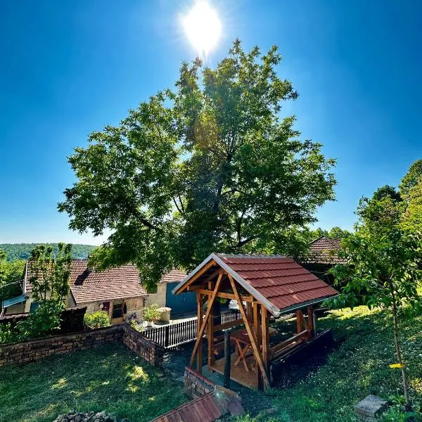 Seosko turističko domaćinstvo DUNJA, hotel v destinaci Osnić