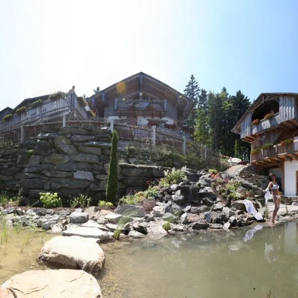 Schönblick Hohenbogen, hotel v destinaci Neukirchen beim Heiligen Blut