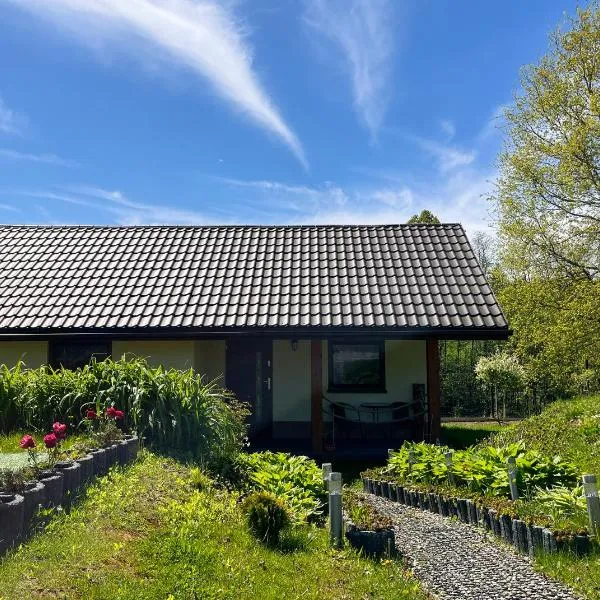 Przytulny Domek z Banią, hotel en Ciężkowice