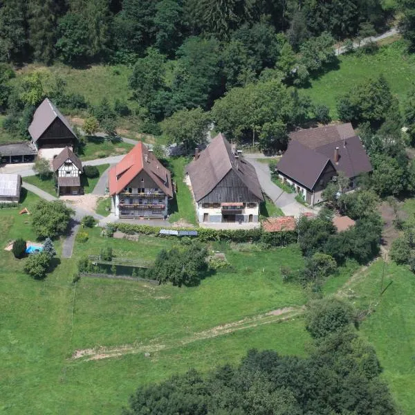 Ferienhof Rohrbachhof, hotel in Schiltach