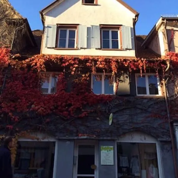 Geschmackvolles Dachstudio in der Innenstadt, hotel v destinaci Leutkirch im Allgäu