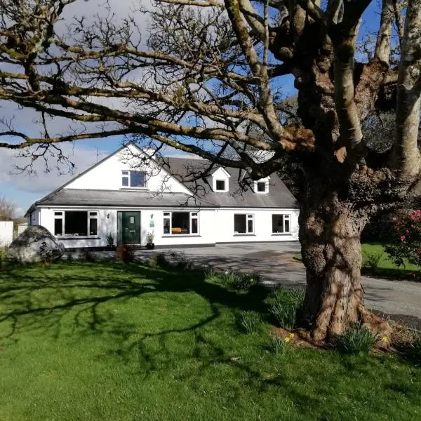 Mountain View Guesthouse, hotel v destinaci Oughterard