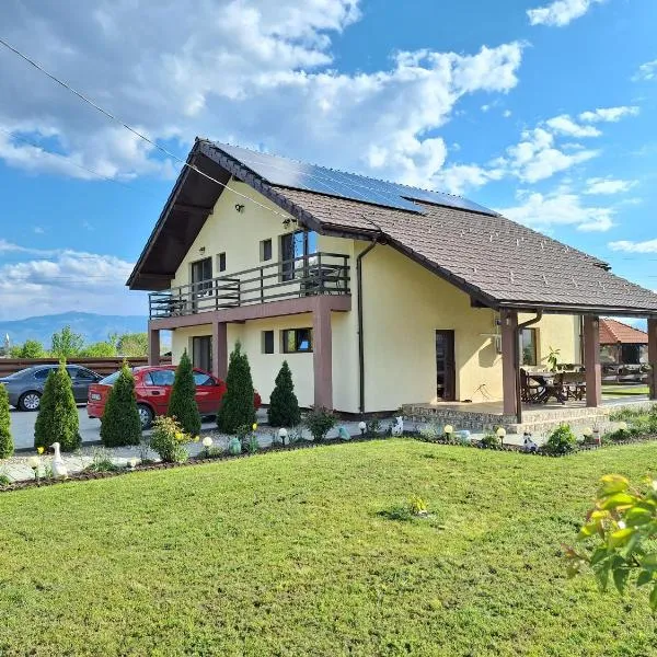 Pensiunea Daria, hotel v destinaci Haţeg