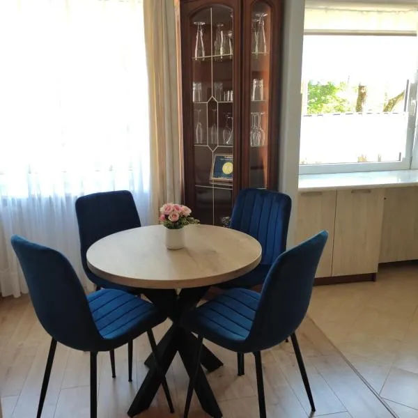 Apartament Familijny, מלון בSilice