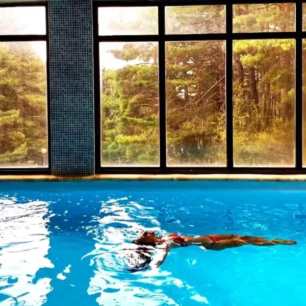 "Ecológico con Piscina Climatizada" y Sauna!!, hotel a Riaza