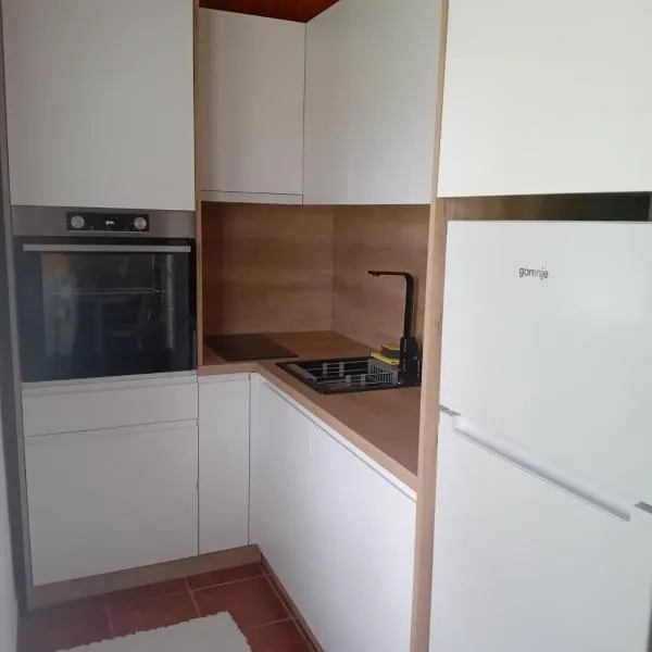 Šumska Vila, hotel em Bajina Bašta