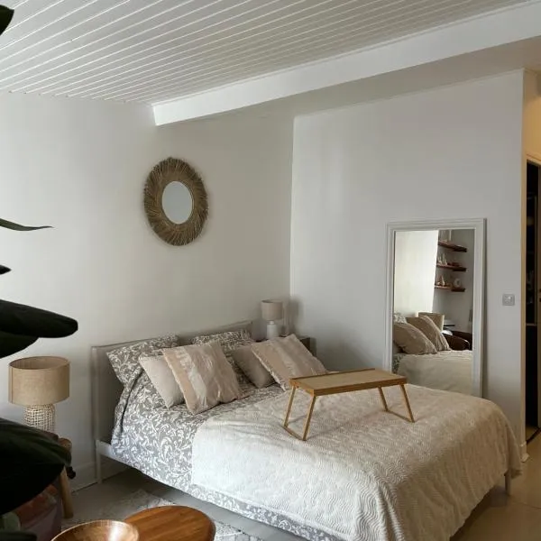 Grand studio entièrement rénové au coeur de Paris