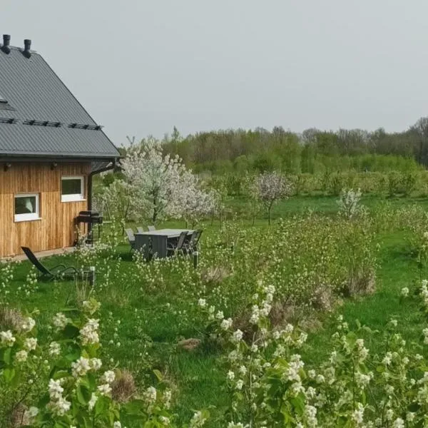 E Berry Farm - Slow life home, hôtel à Olszyna