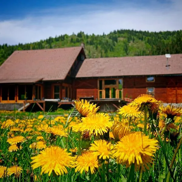 Crossline Lodge, hotel in Gheorgheni