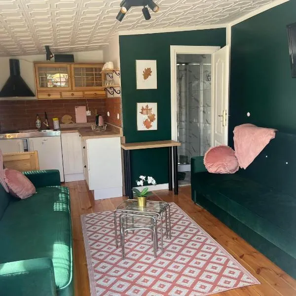 Apartament zielony nad jeziorem PZW Kazub, hotel v destinácii Cieciorka