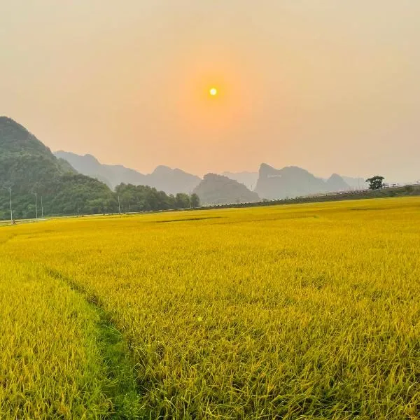 Huy-Homestay, hotel v destinaci Phong Nha