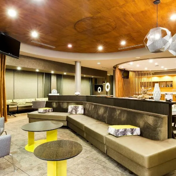 SpringHill Suites by Marriott McAllen Convention Center, hotell sihtkohas McAllen