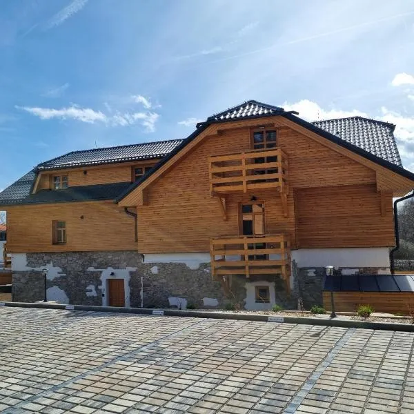 Horní Planá - Hůrka Apartmán Hannzi，位于霍尼普拉纳的酒店