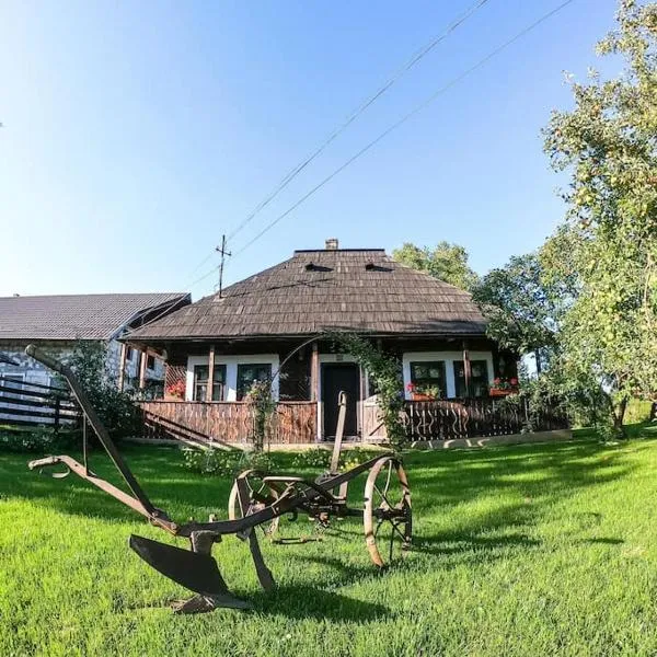 Matusana- casă tradițională bucovineană, hotel in Putnişoara