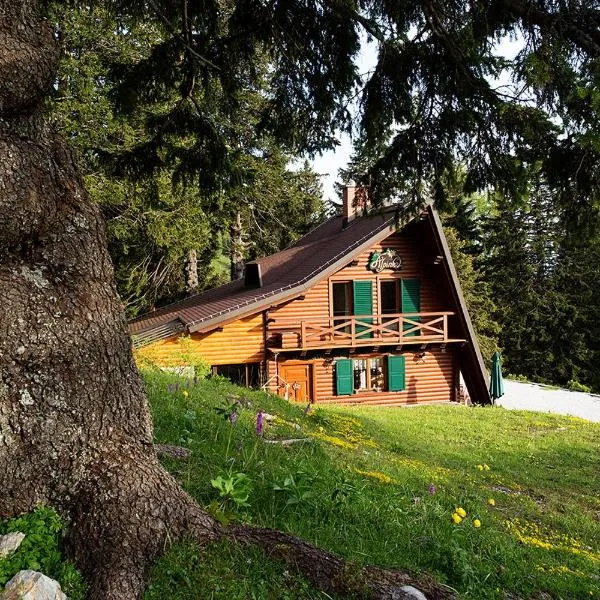 Chalet Alpinka, хотел в Церкле на Горенскем