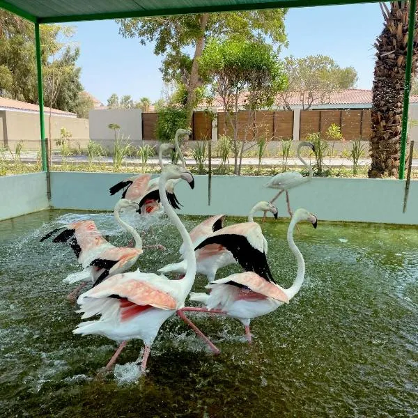 Flamingo Cottages, hotel en Al Hamalah